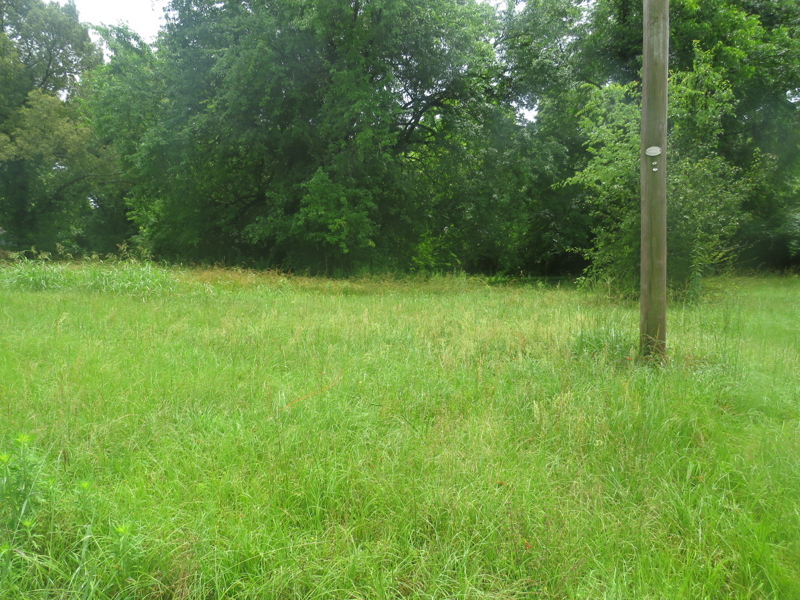 Beyond the City Lights: Why Homesteaders are Eyeing Vacant Land in DeKalb, TX